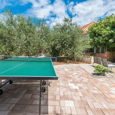 Daire Pet Friendly In Polaca