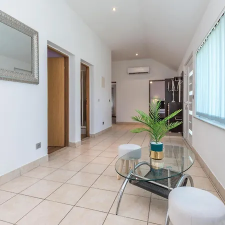 Daire Pet Friendly In Polaca
