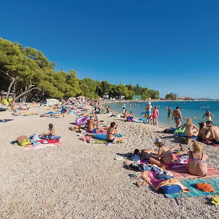 Lovely In With Wifi * Polaca