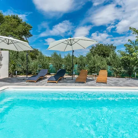 Daire Pet Friendly In Polaca